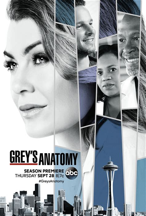 grey's anatomy season 14 fullrip